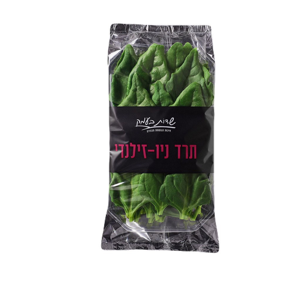 תרד ניו זילנדי  - שדות בעמק