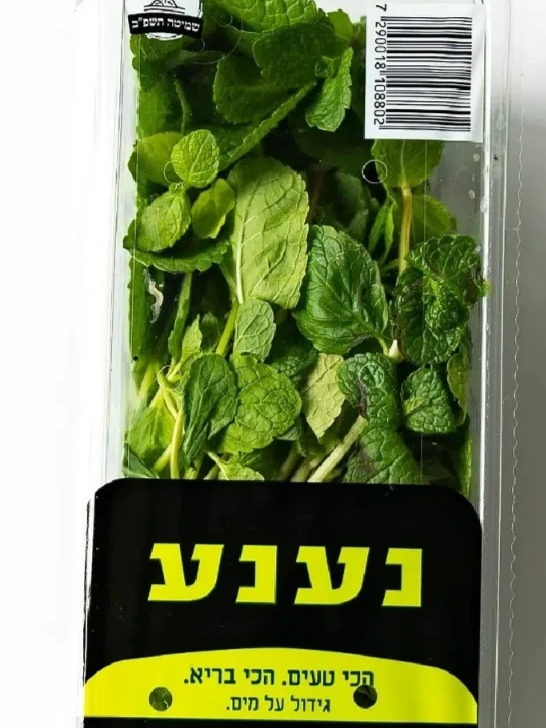 נענע