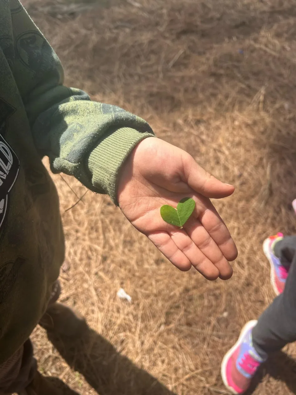 סדנאות טבע לילדים