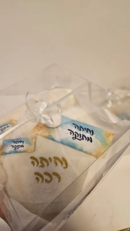 מארז טיסה חורפי