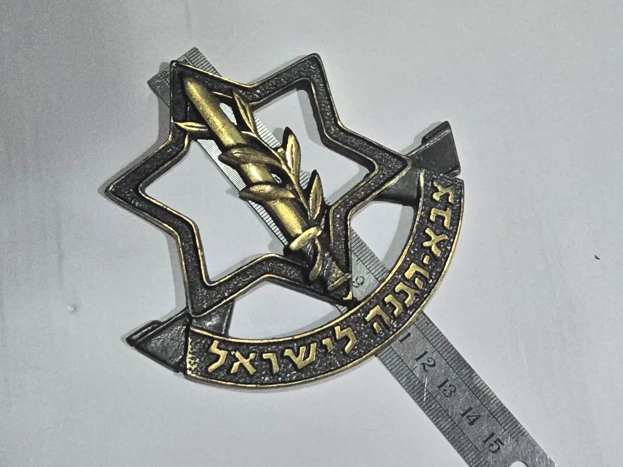 סמל צבא הגנה לישראל גדול! לתלייה ככל הנראה על מגן...  מידות: 12X11 ס"מ