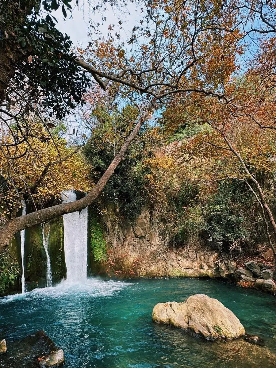 הנוף באיזור