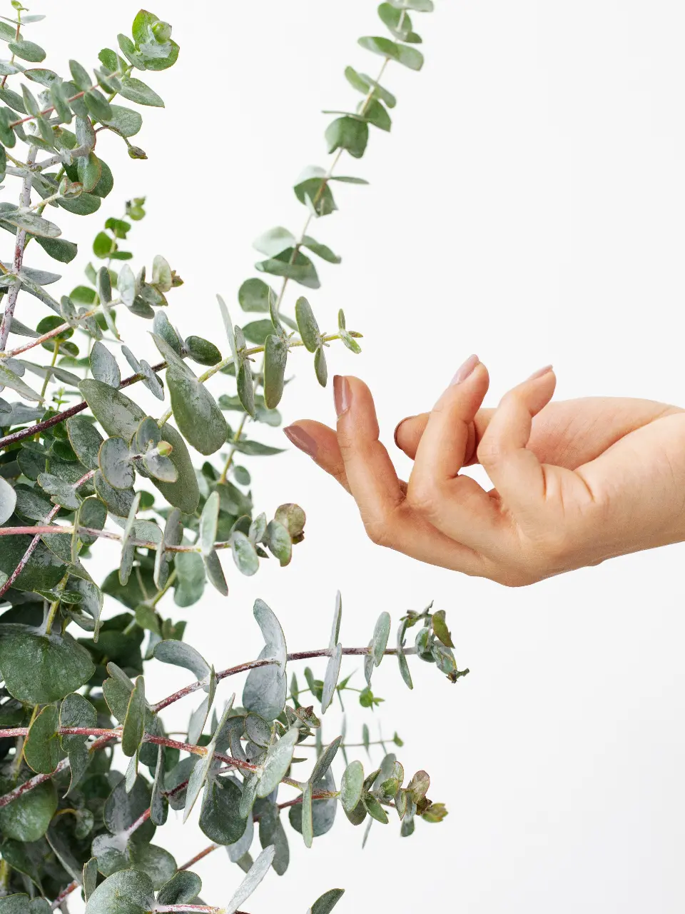 קורס הכנה ללידה להפחתת חרדות וביטחון עצמי | רויטל ריינא