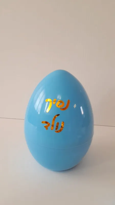 מארז ביצה תינוק נולד