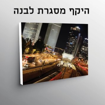 הדפסה על קנבס עד גודל  30X45 ס"מ
