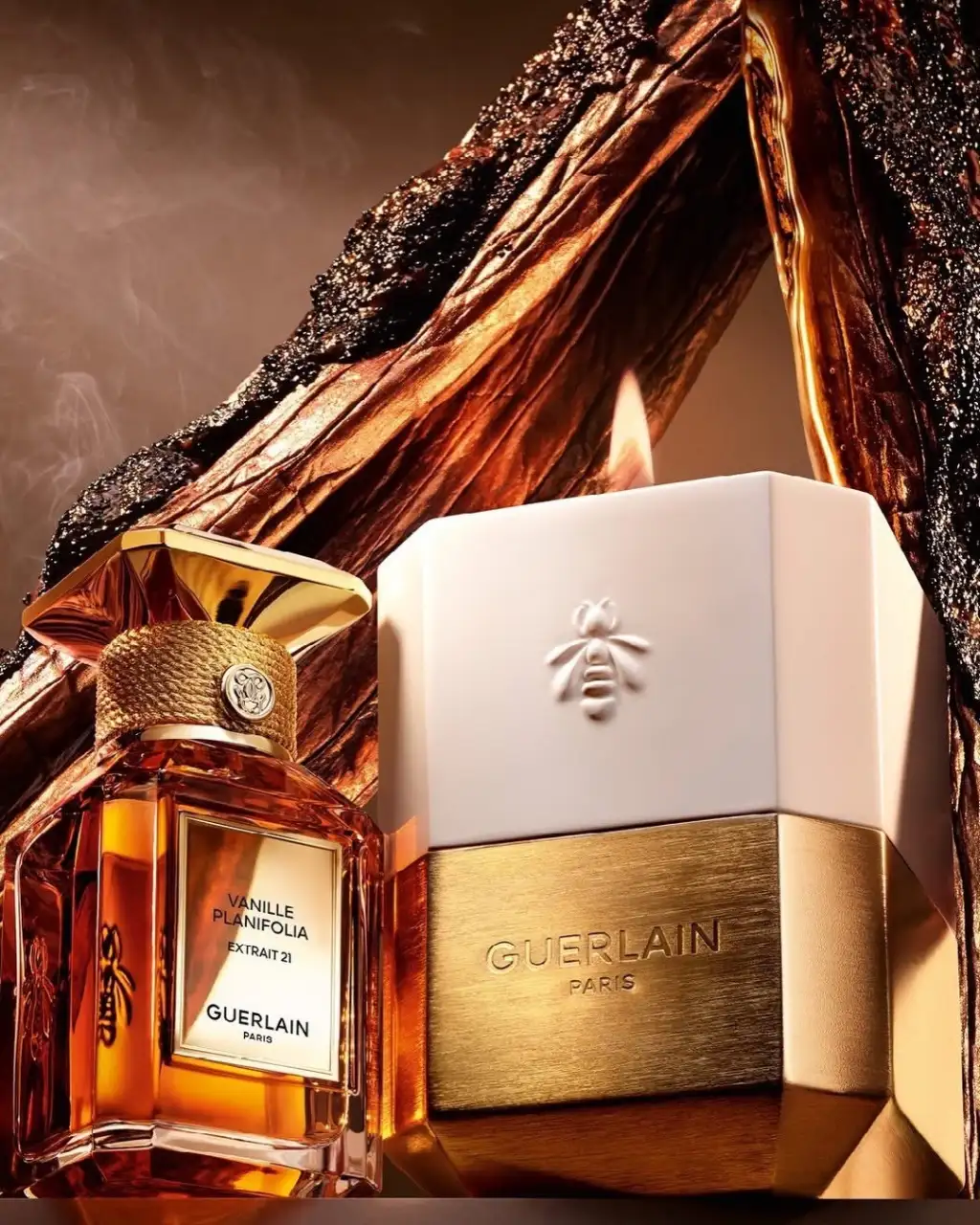 𝗩𝗮𝗻𝗶𝗹𝗹𝗮 𝗣𝗹𝗮𝗻𝗶𝗳𝗼𝗹𝗶𝗮