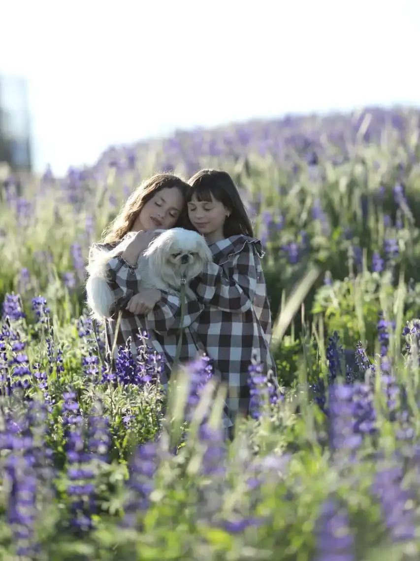 צילומי חוץ – רגעים אמיתיים באור טבעי מושלם