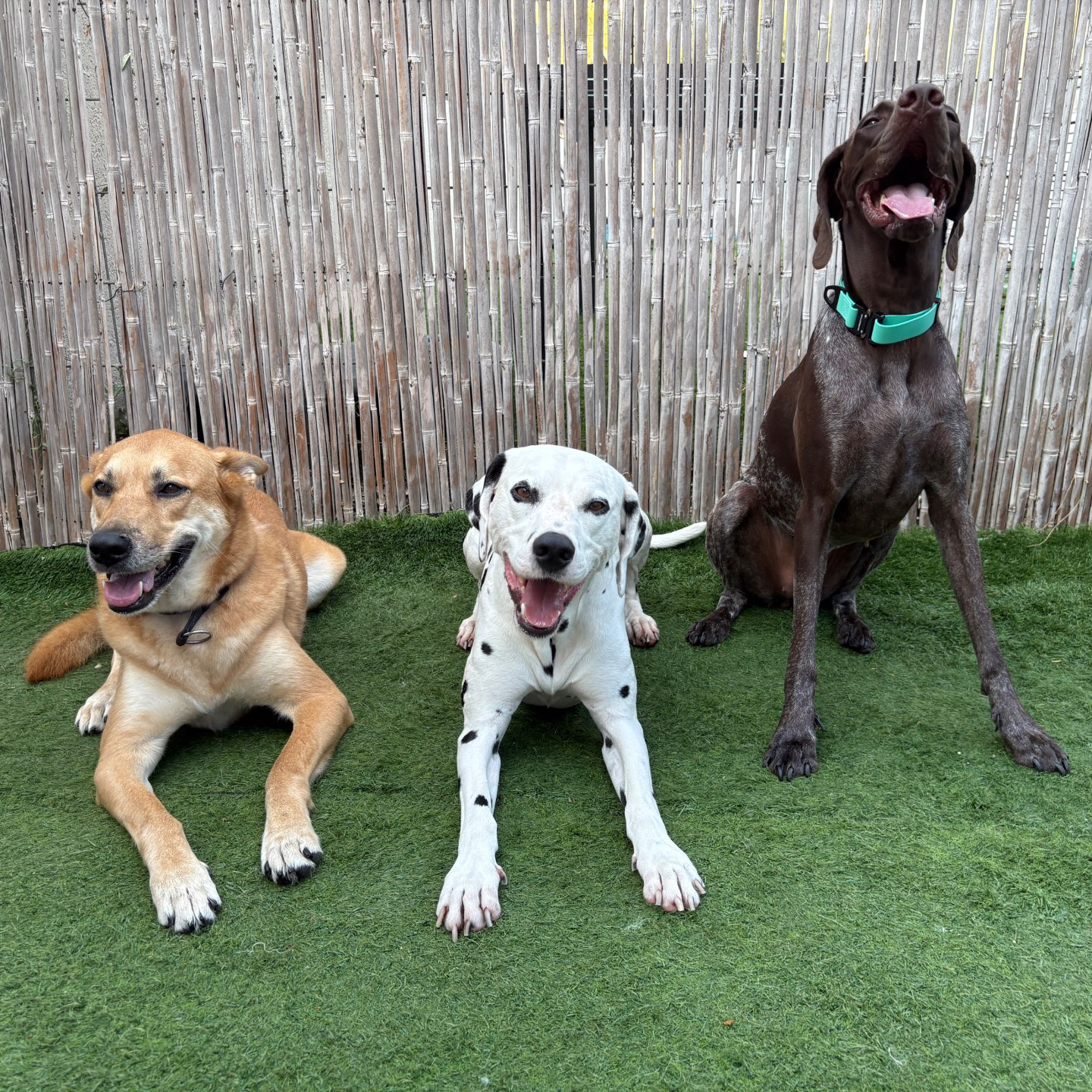 פנסיון שהות