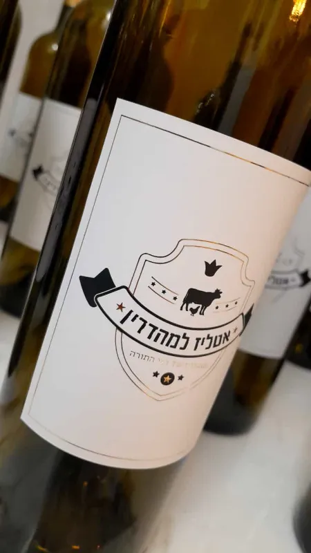 עיצוב מדבקות מיוחדות ליין