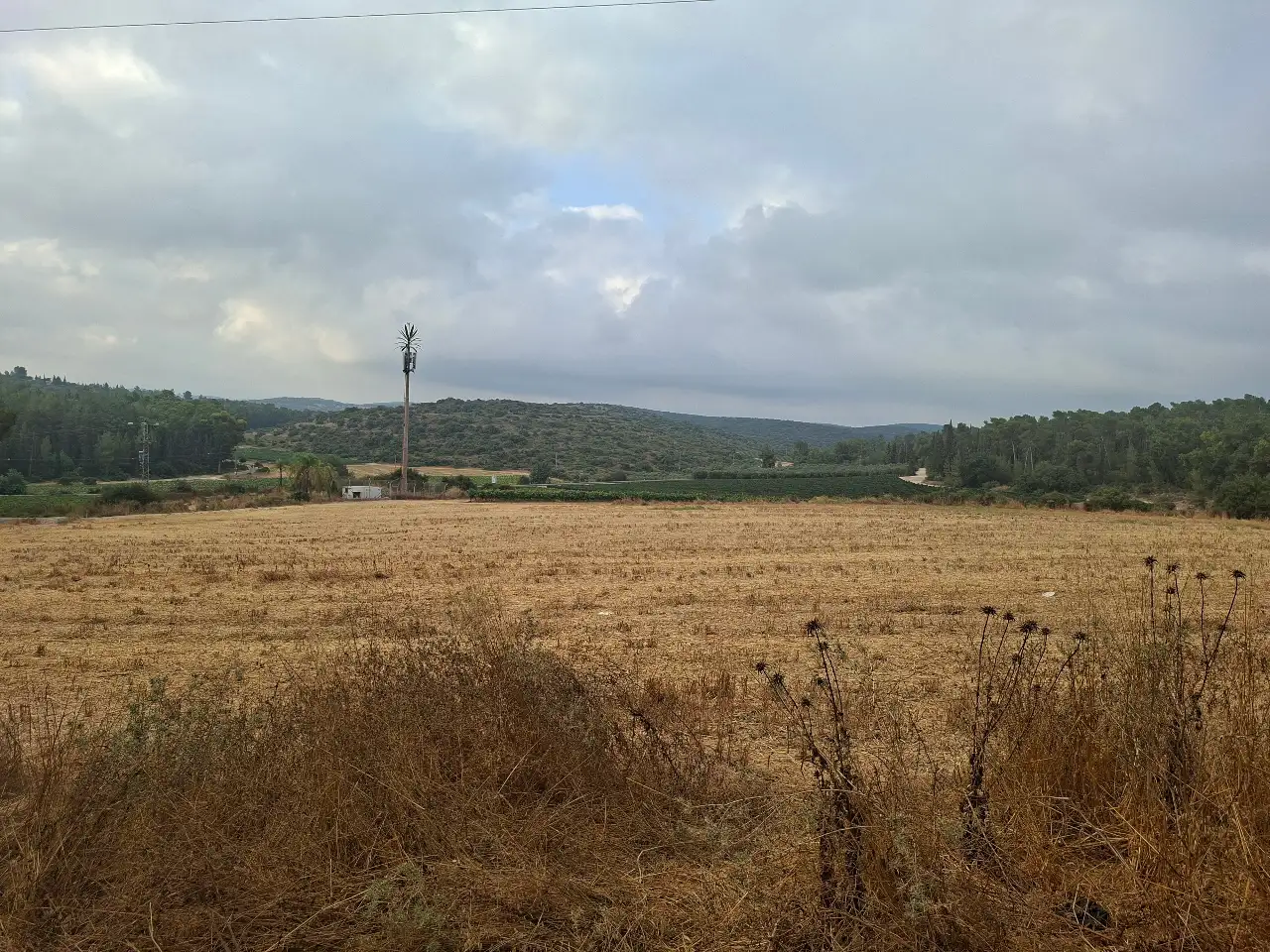 הדרכת זוגות שישי בבוקר מצפה משואה