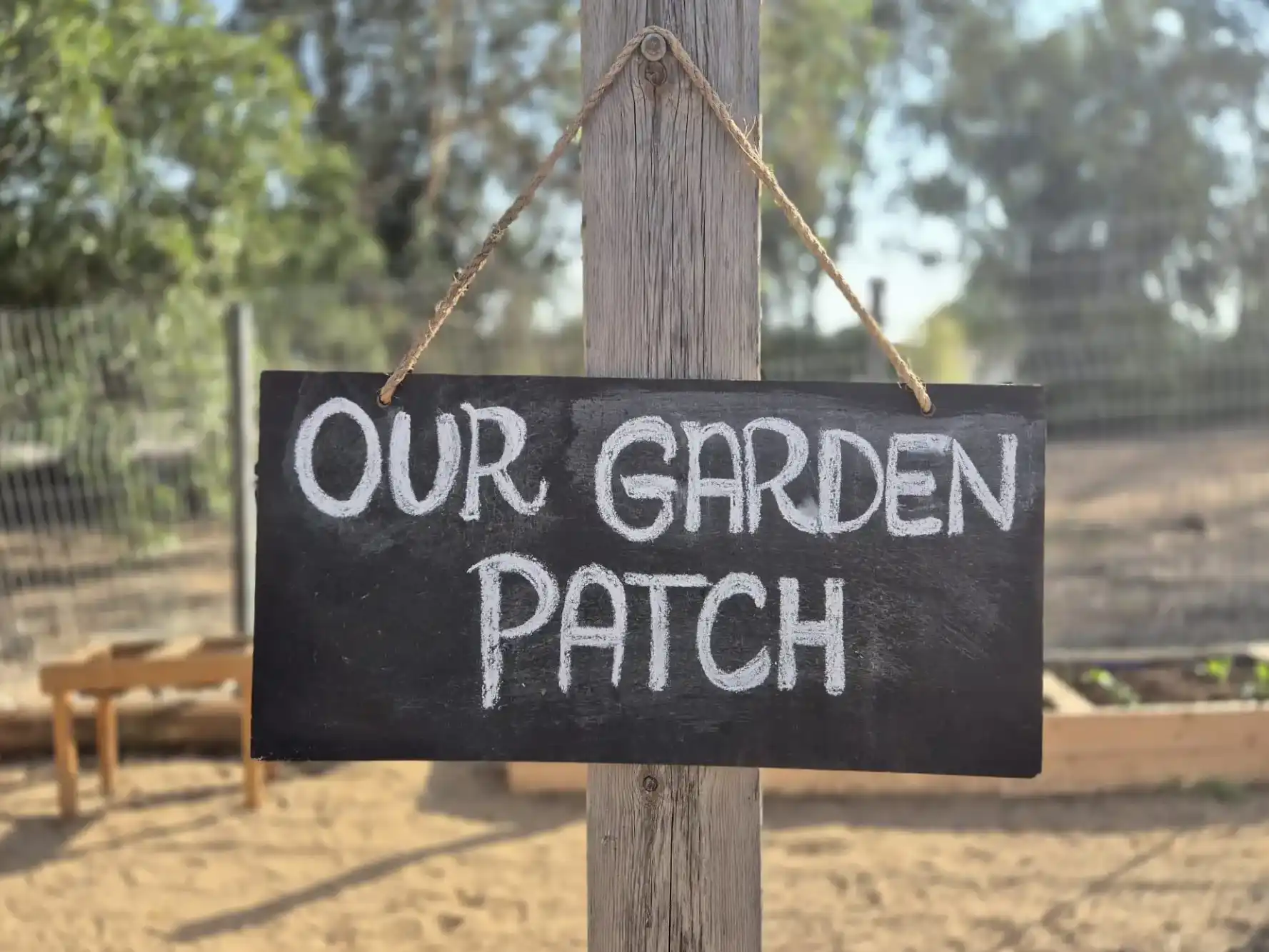 Full English Educational Program