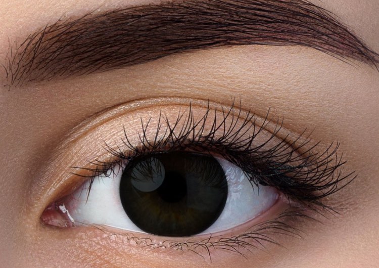 עדשות צבע בשחור 