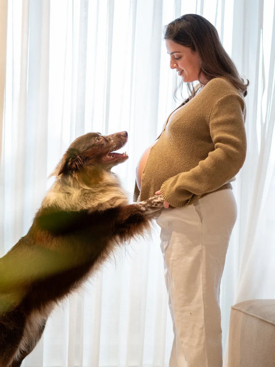 צילומי הריון ביתיים
