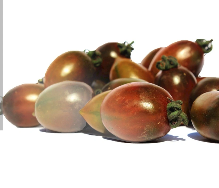 שרי ליקופן