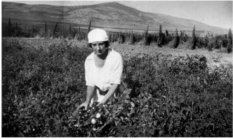 נשים פורצות דרך בהתיישבות העברית