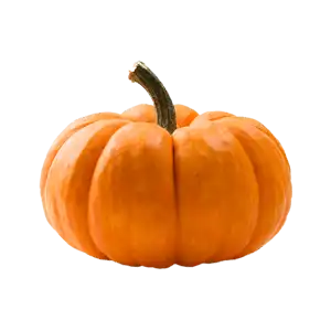 דלעת יפנית - י יח'