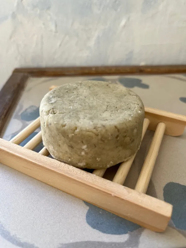 שמפו מדבר יהודה