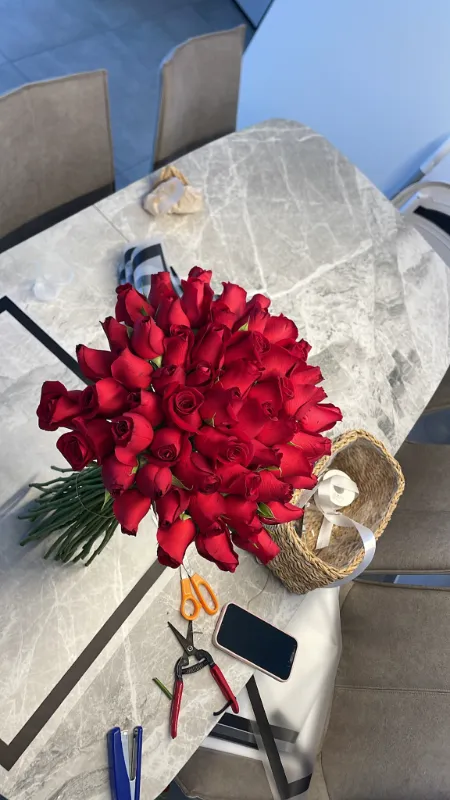 red roses 🌹