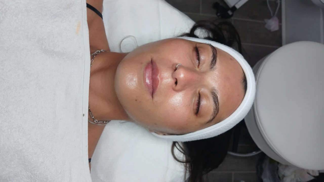 החדרת לחות באלקטרופורציה