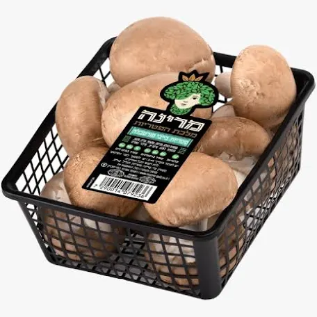 פטריות שמפיניון חום