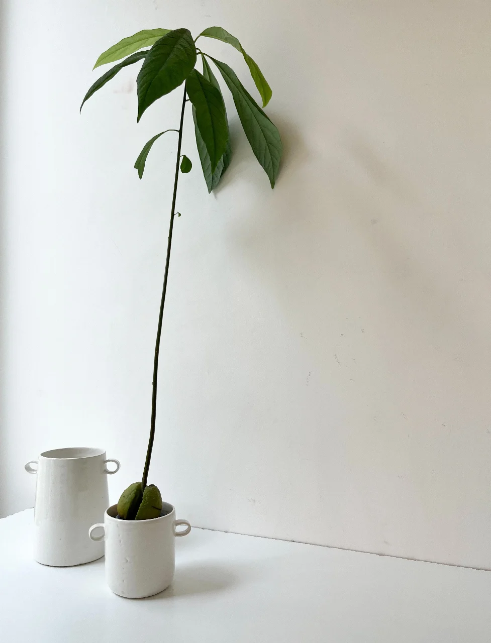 כד פורצלן עם עיטור