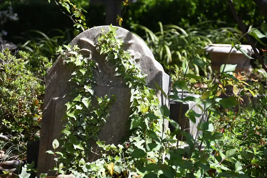 ניקוי מצבה יסודי בצפון – שירות מוקפד לשימור האבן לאורך שנים