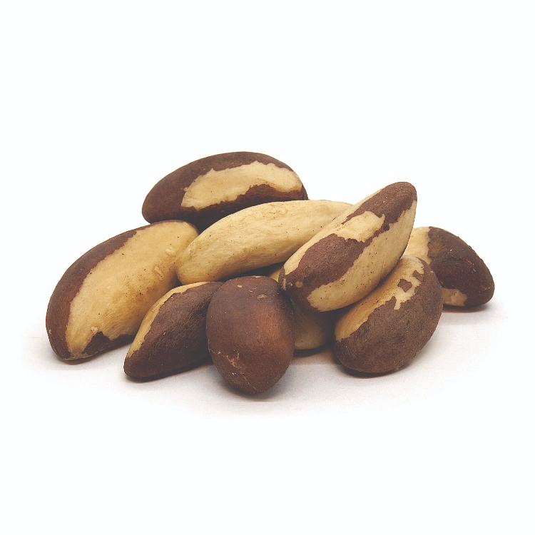 אגוזי ברזיל- 300 גרם