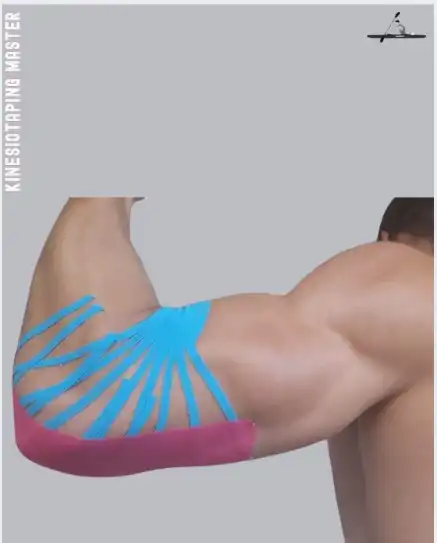 Aplication in Sprint kayak