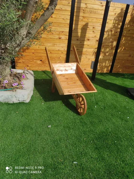 מריצה מעוצבת לנוי