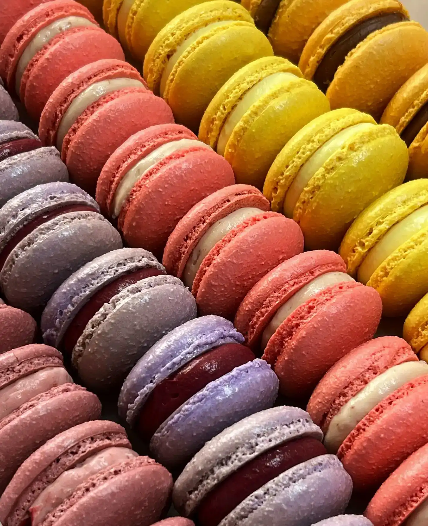 מקרונים מארז 12