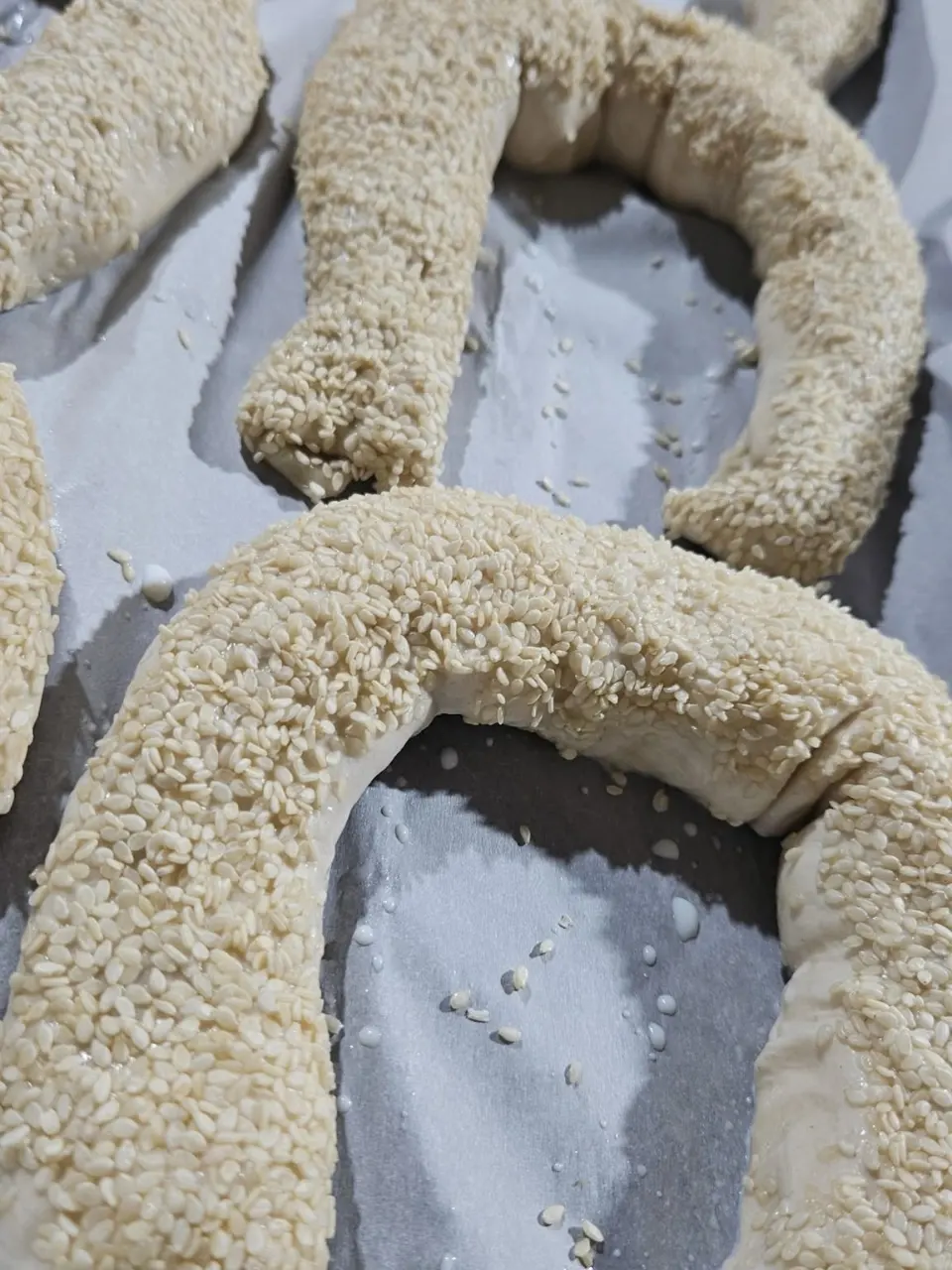 זיווה 4 גבינות וזיתים