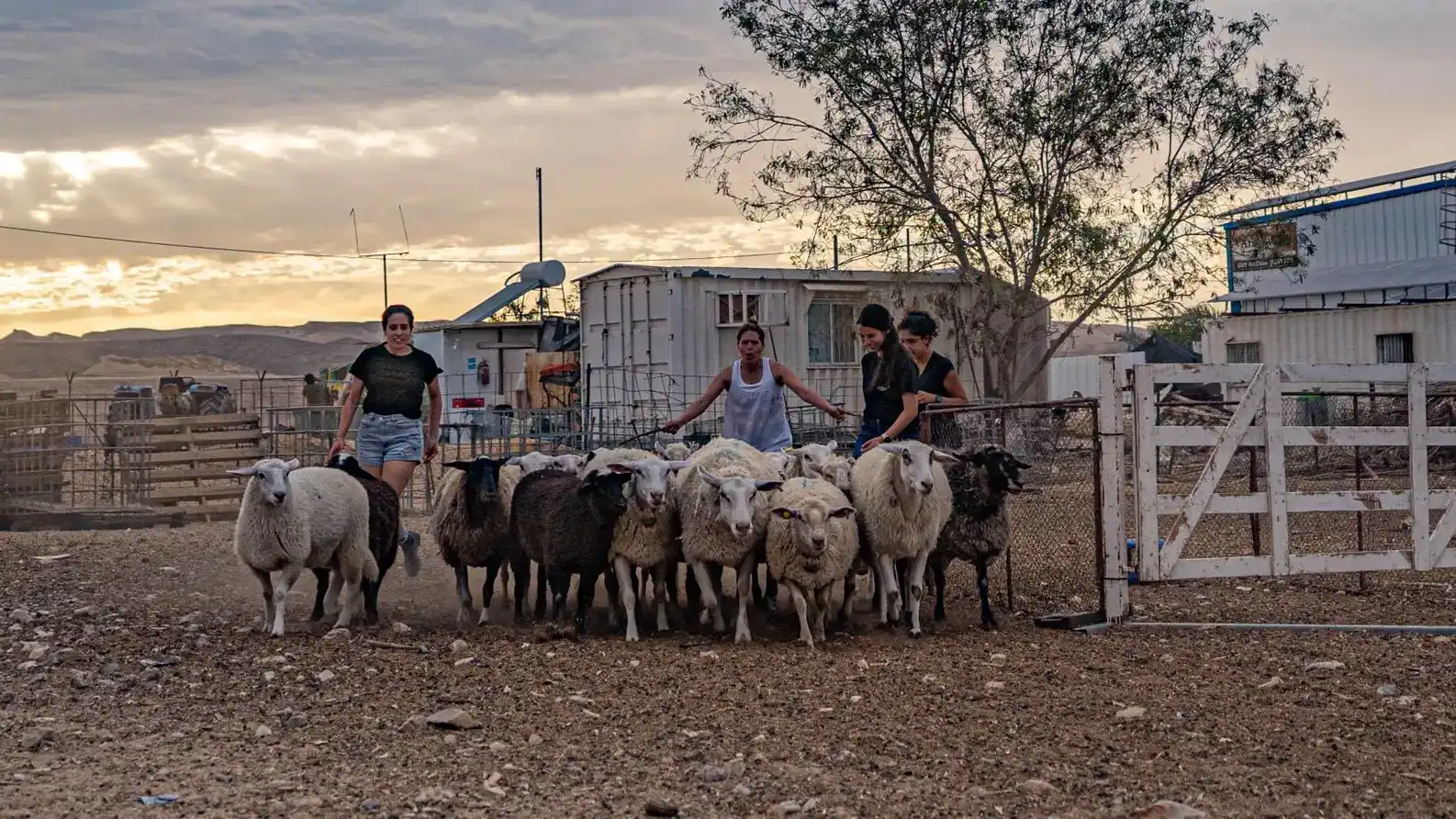 סדנה טיפולית