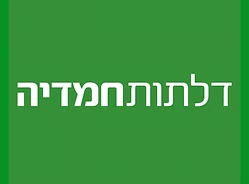 דניאל כהן, מנהל מערכות מידע, דלתות חמדיה