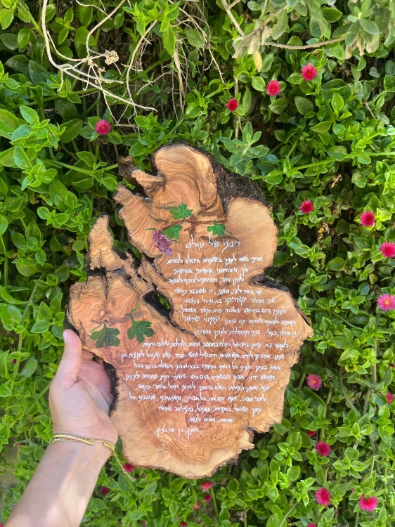 ברכת כלה על עץ זית