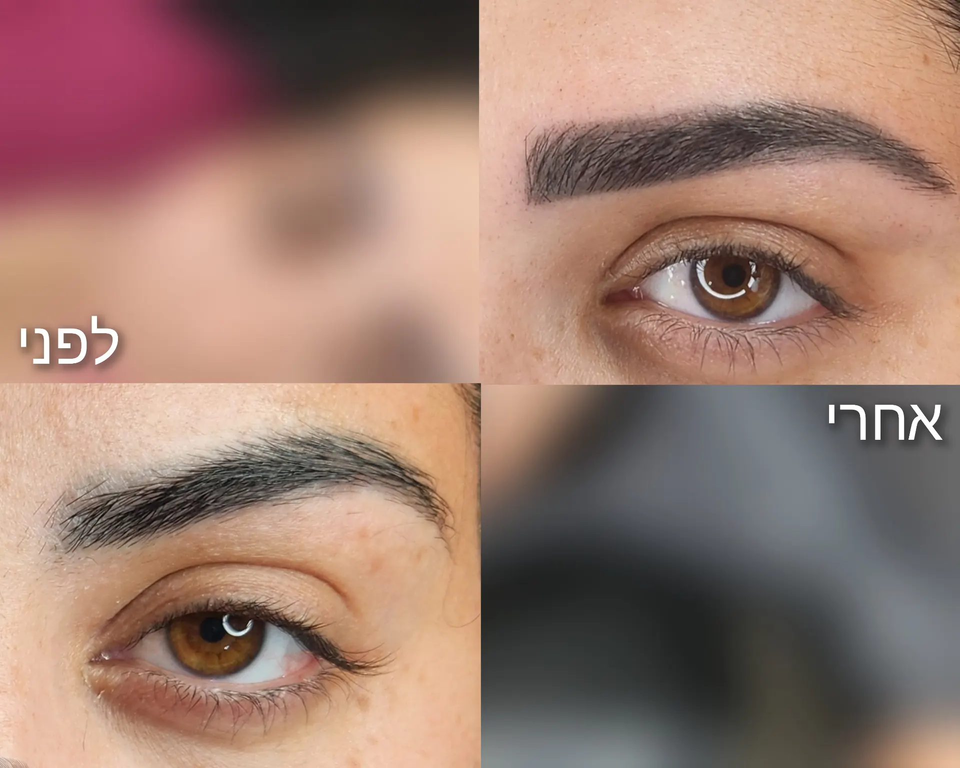 אפקט הפודרה