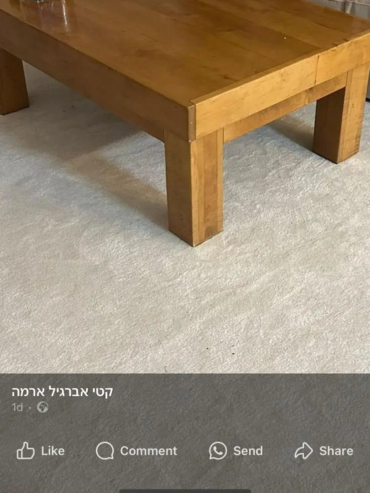 שאגי לבן צפוף