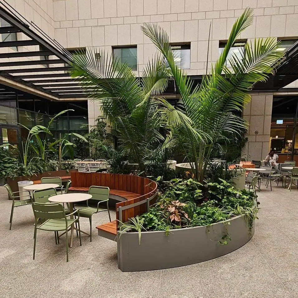 פרוייקט מיוחד לכלמוביל