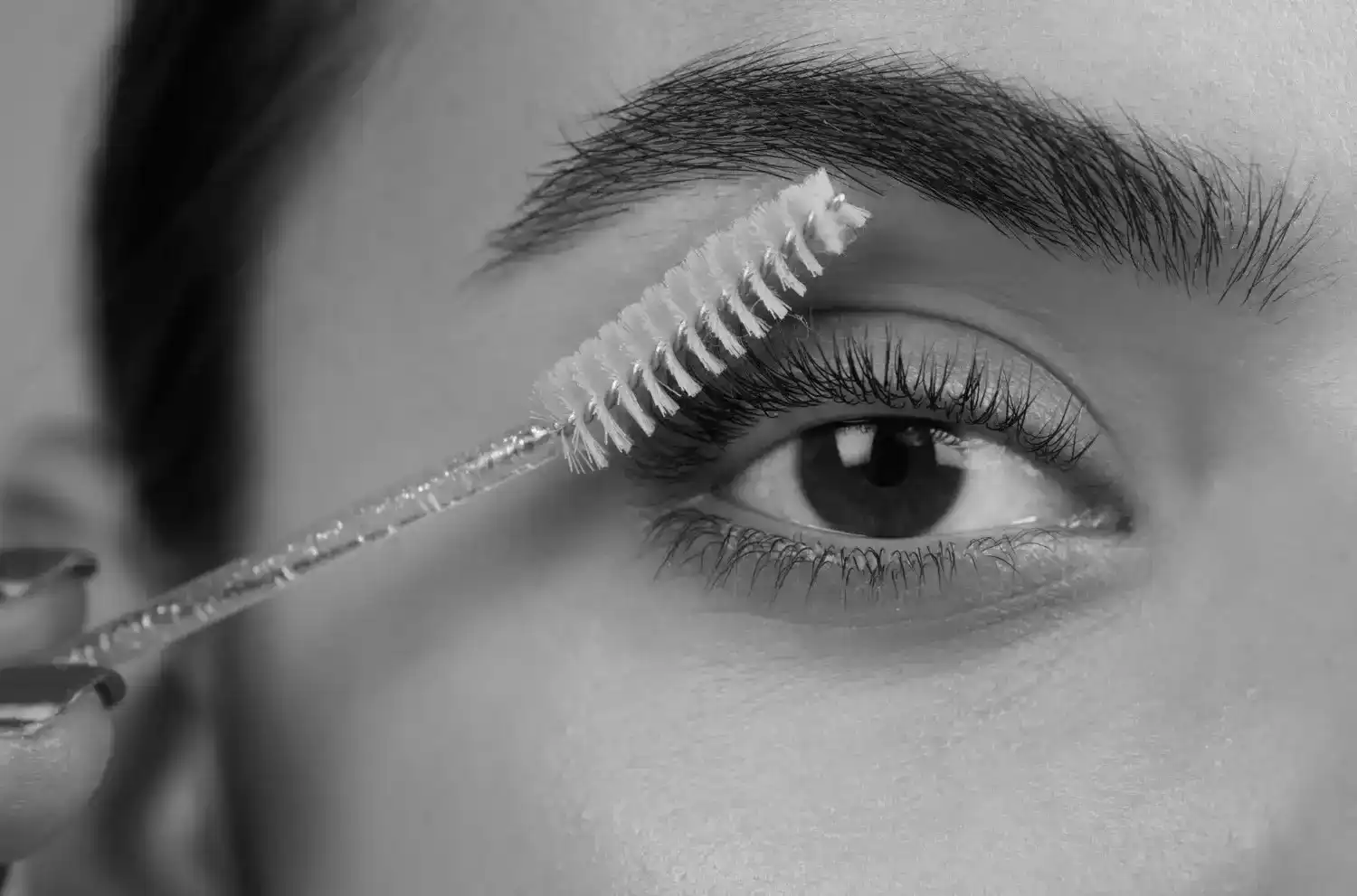 הרמת גבות בראש העין – המפתח למראה צעיר ורענן