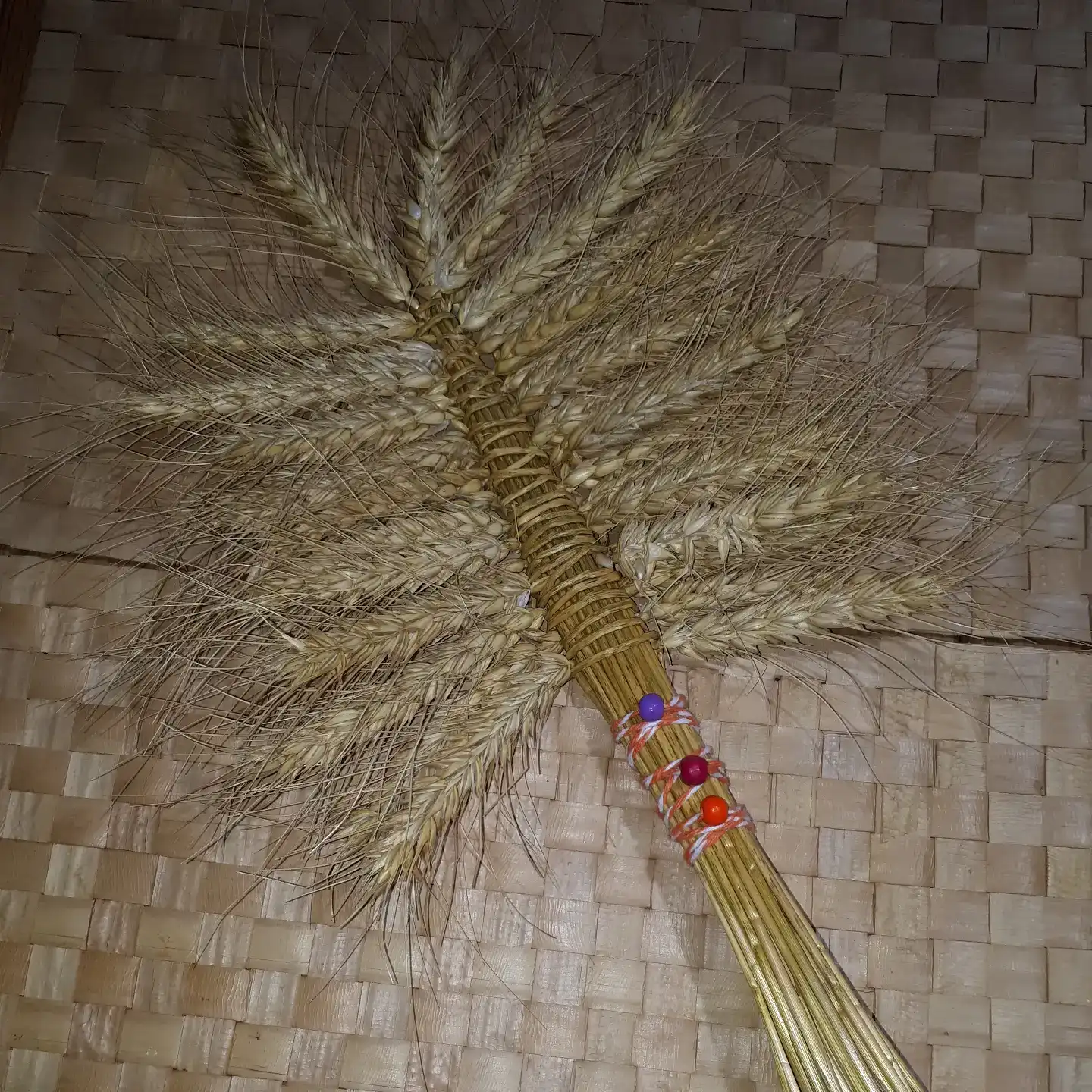 מקלעות שיבולים