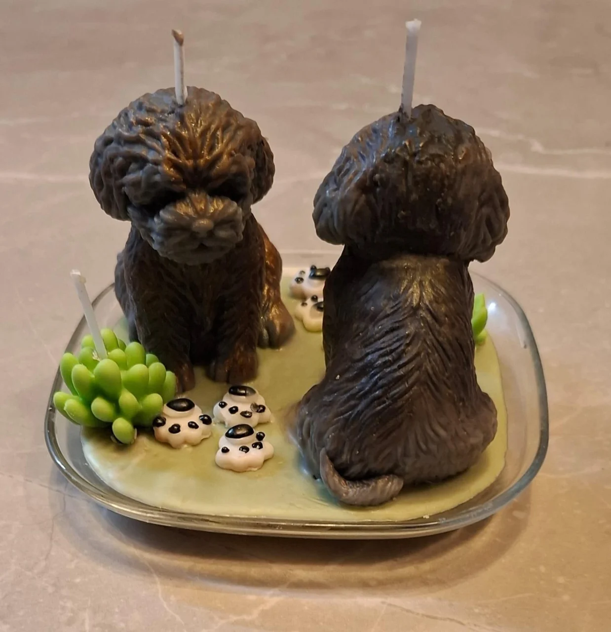 אהבה עם זנב