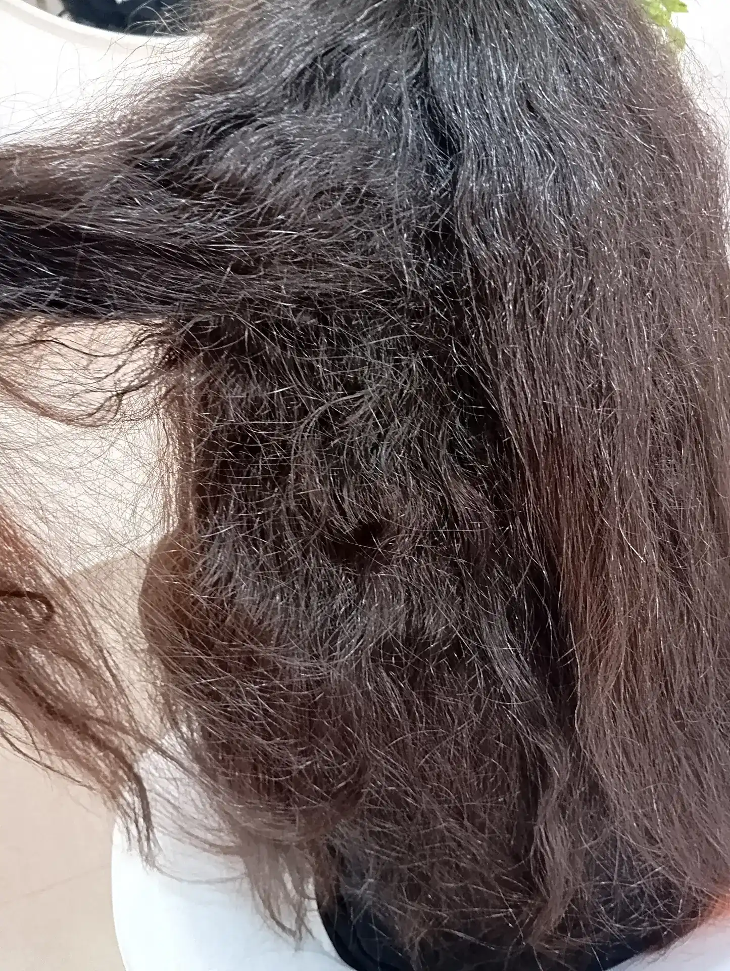 החלקה למהממת💥