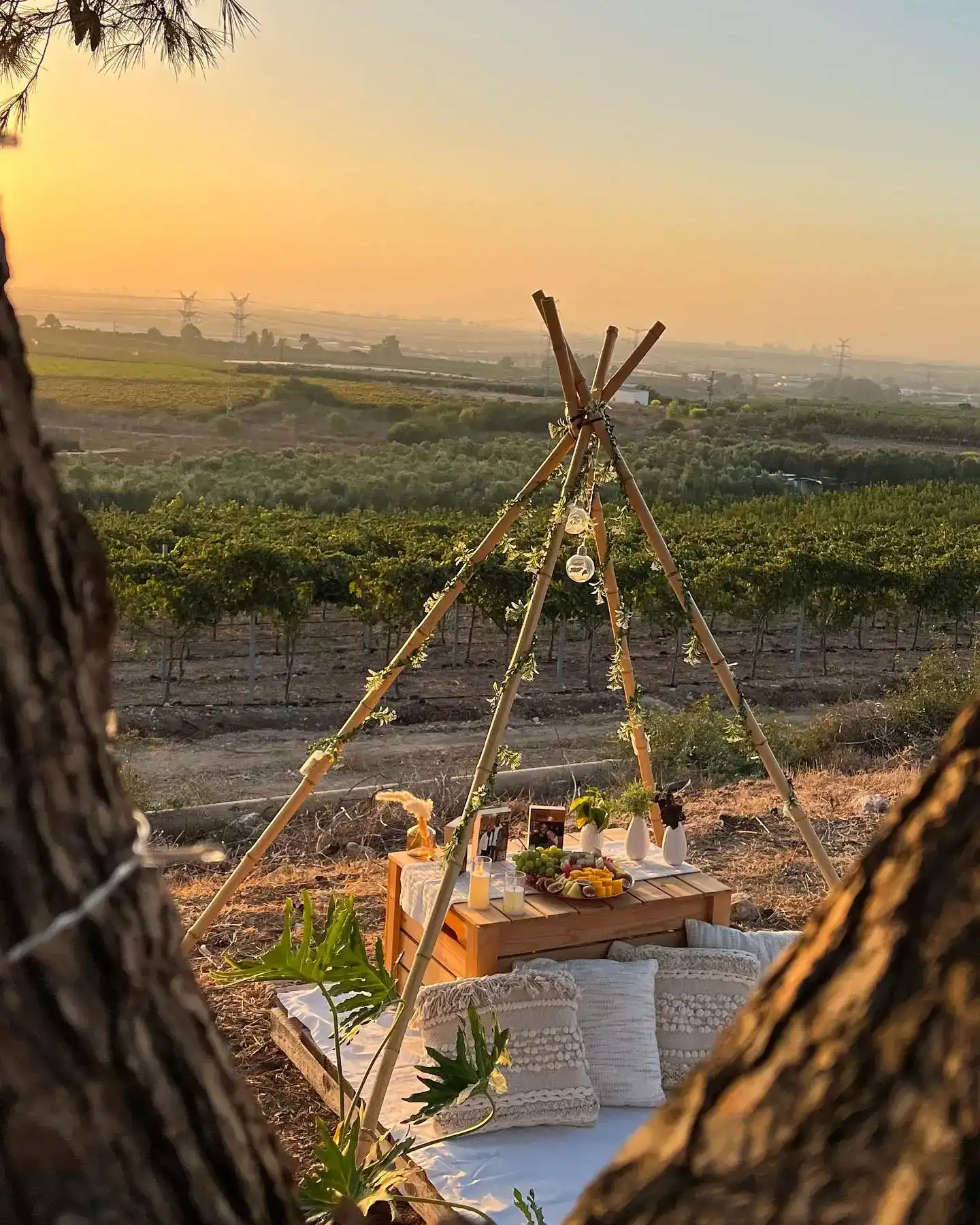 אוהל בוהו-שיק להצעות נישואין – עיצוב מהאגדות בלב טבע פראי