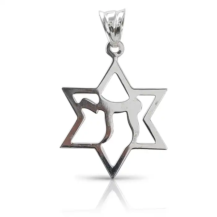 תליון מגן דוד מזהב עם חי 14K