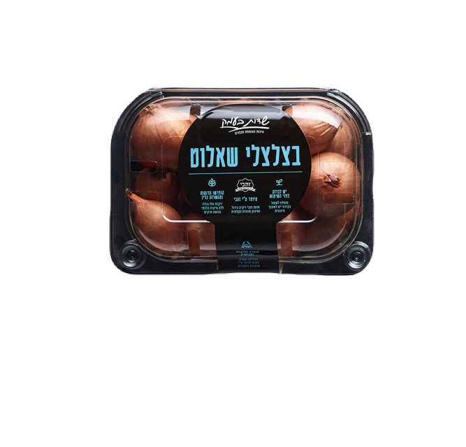 בצלצלי שאלוט  - שדות בעמק