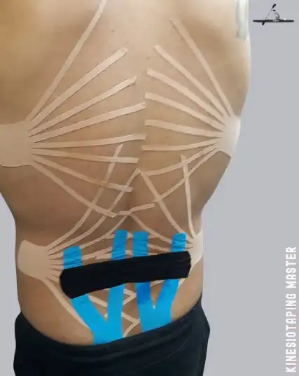 Aplication for Paddlers - Sprint Kayak