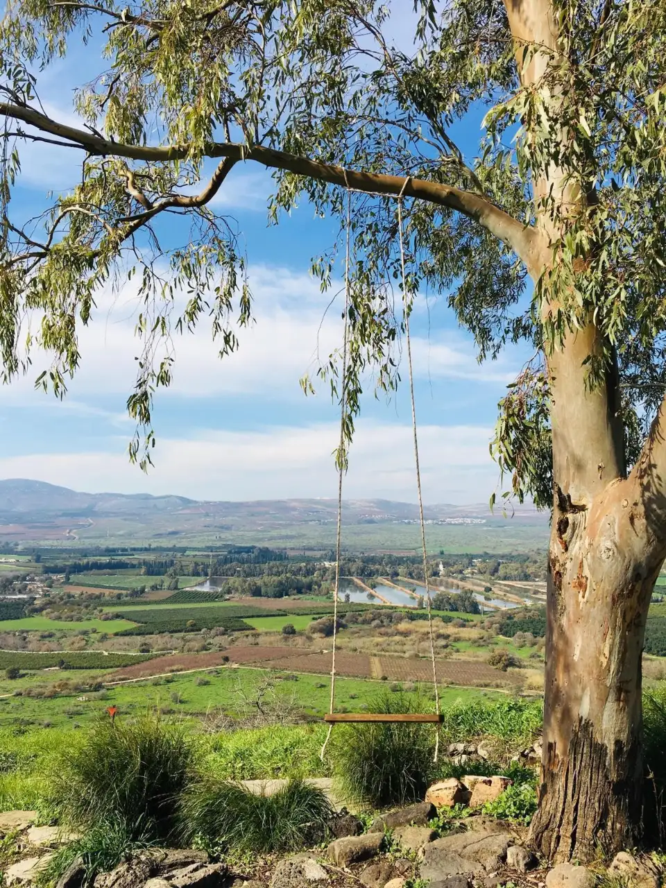 הנוף באיזור