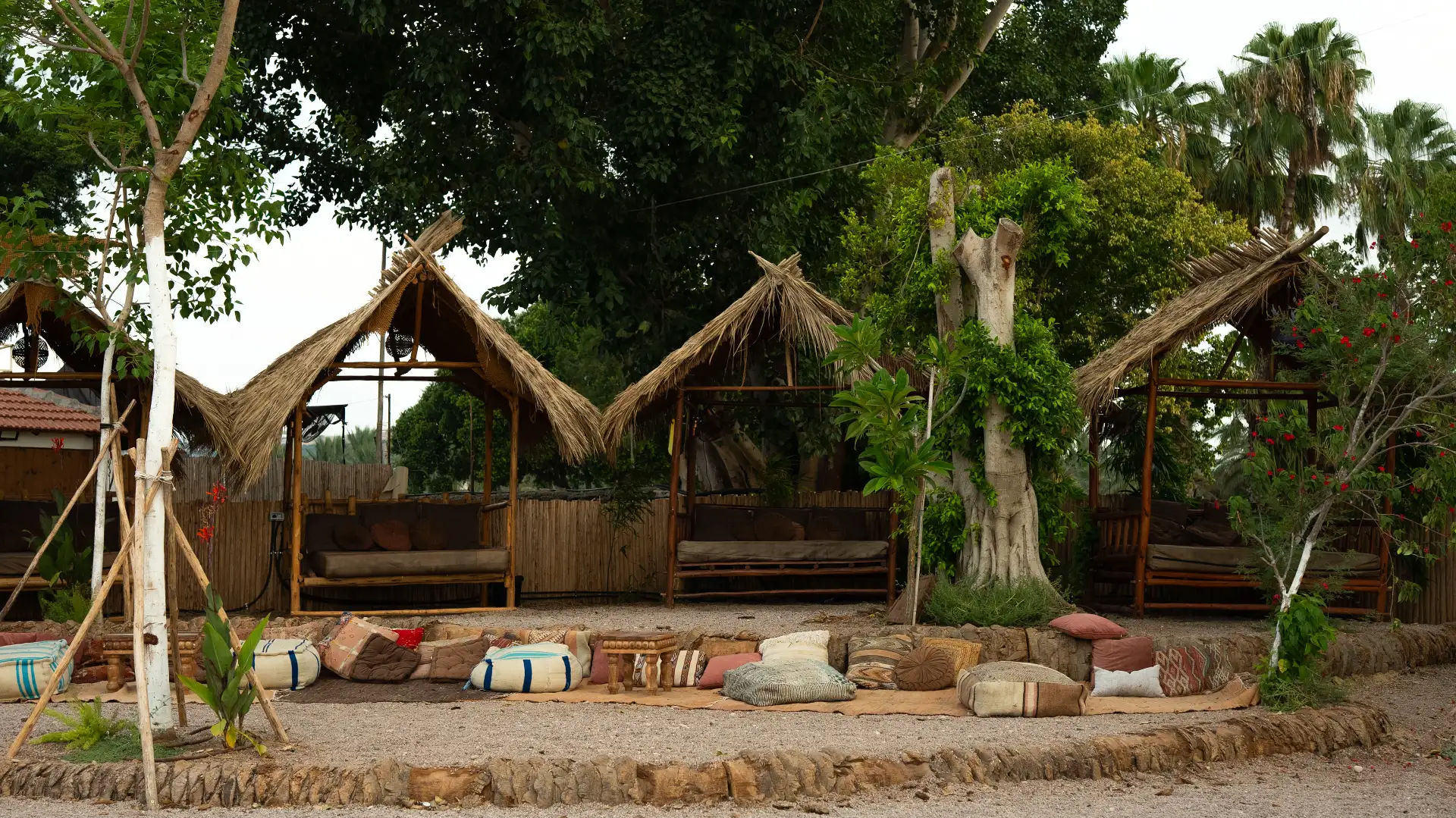 חופשה מפנקת בכנרת: חווית חוף מושלמת בחוף של מוש