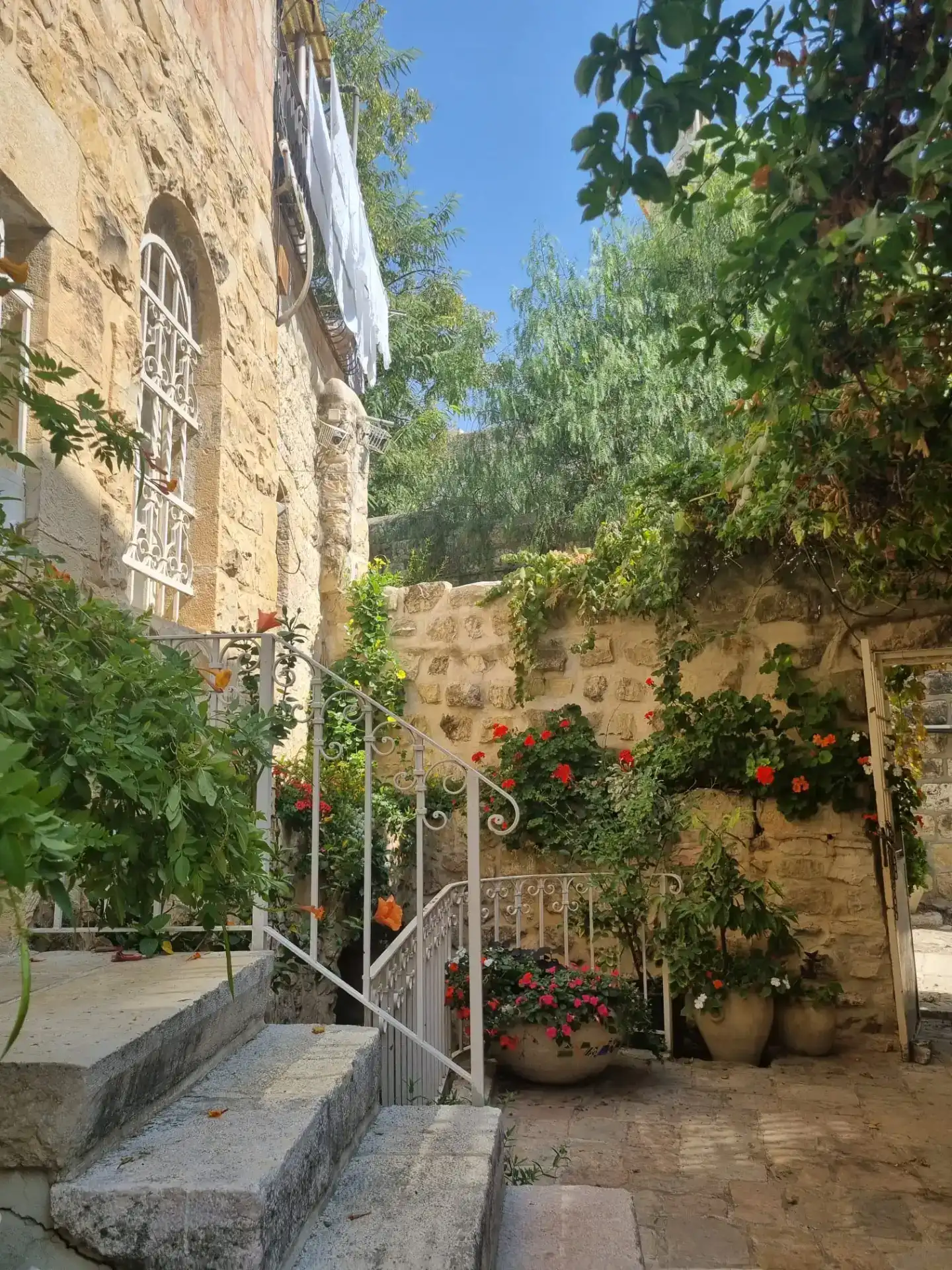 סיור בכפר הפסטורלי עין כרם