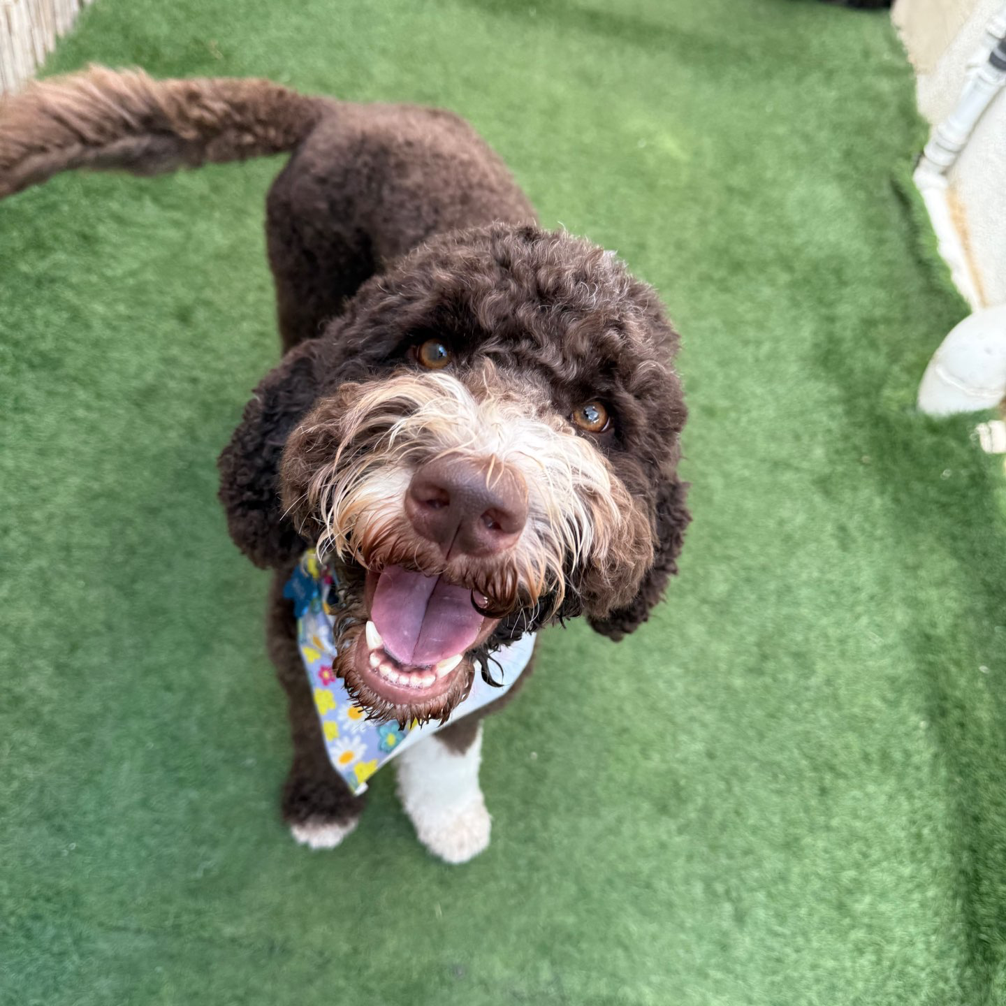 פנסיון שהות