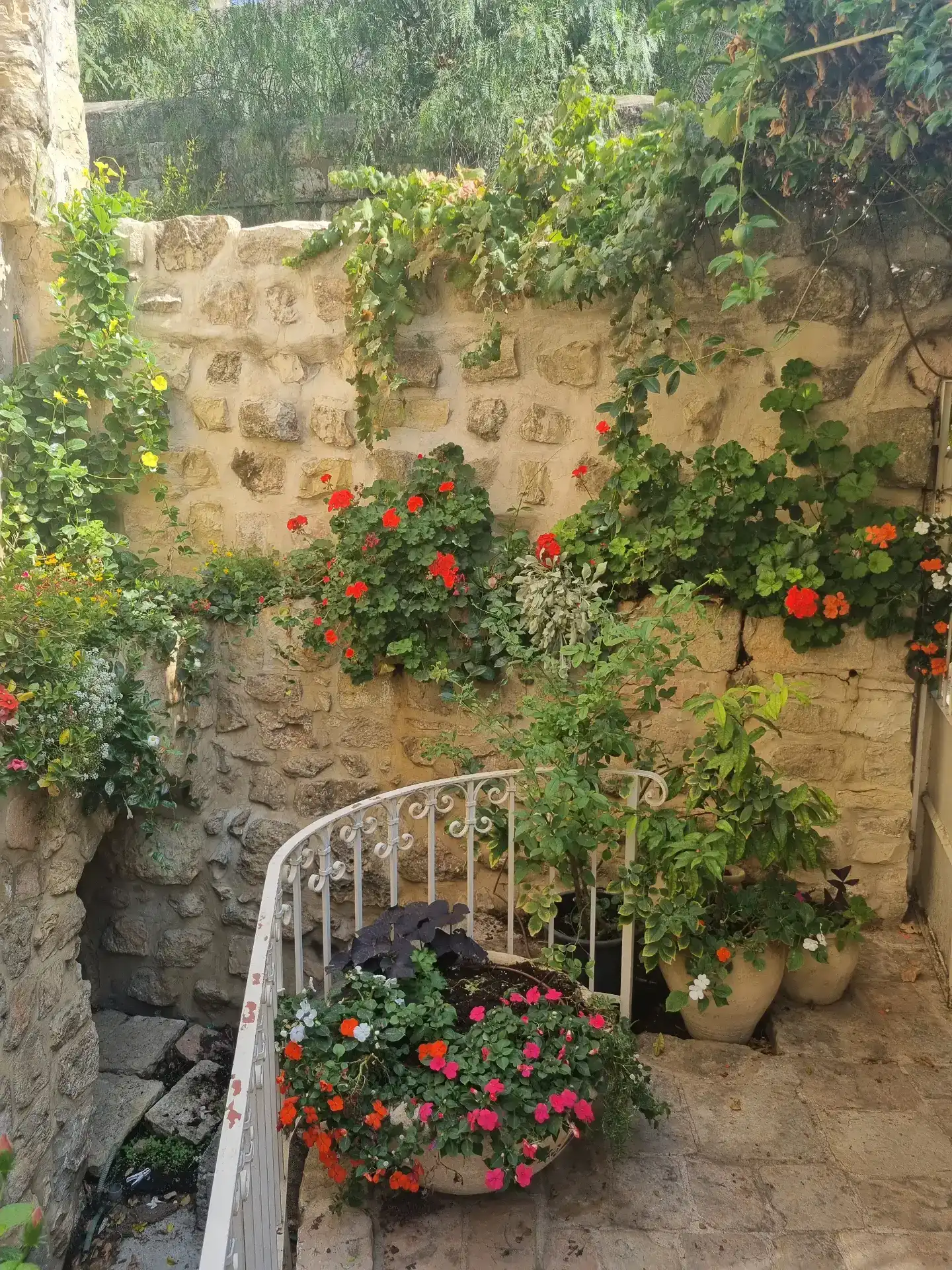 סיור מודרך בעין כרם בירושלים – חוויה אותנטית | טלי יהושע